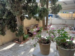 een tuin met een bank en bomen en bloemen bij Comfy place in Amman