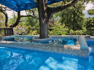 a swimming pool with a tree in the background at CASA NDOMI TEPOZ in Tepoztlán