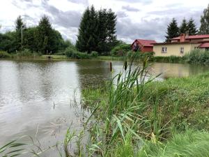 a body of water with a house in the background at Nad stawami in Wilka