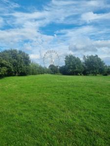 een groot veld met een reuzenrad op de achtergrond bij Donard View Apartment in Newcastle