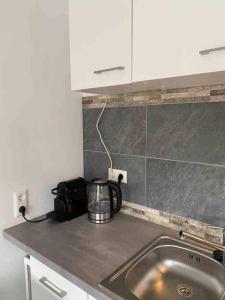 a kitchen counter with a sink and a microwave at Apartment Bellalegna in Geislingen an der Steige
