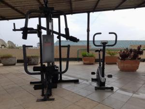 Fitness centrum a/nebo fitness zařízení v ubytování The Apartment