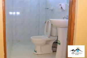 a bathroom with a toilet and a sink at Rocky river falls resort in Thika