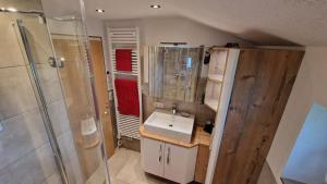 un bagno con lavandino e doccia di s'KLINGI-Haus a Volders