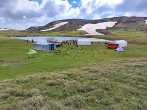 un grupo de tiendas de campaña en un campo junto a un lago en Highland Hostel, en Ereván
