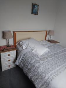 a bedroom with a bed and a nightstand with two lamps at Hillside Haven in Tipperary