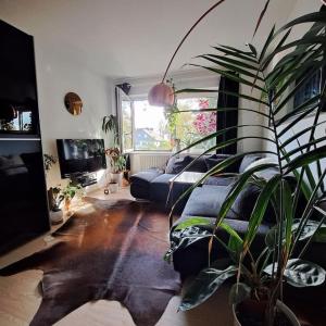ein Wohnzimmer mit einem Sofa und einer Topfpflanze in der Unterkunft Kleiner Urwald in Remscheid