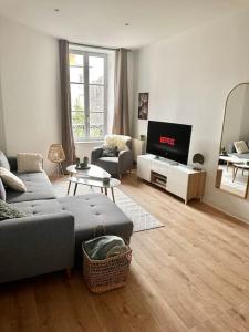 sala de estar con sofá y TV en Appartement Cosy Place Delille, en Clermont-Ferrand