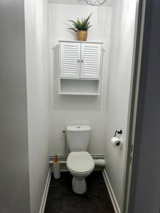 un baño blanco con aseo y una planta en un estante en Appartement Cosy Place Delille, en Clermont-Ferrand