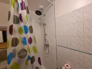 a bathroom with a shower with a shower curtain at Chambre cosy in Persan