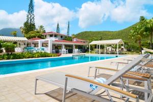 尼維斯的住宿－Mount Nevis Hotel，一个带躺椅的游泳池以及度假村