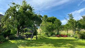 Taman di luar Agroturystyka Jelenia