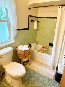 a bathroom with a toilet and a bath tub at Cozy, Private Loft 15 min away from Downtown Detroit in Grosse Pointe Park