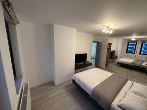 a bedroom with a bed and a television in it at BTA Apartment Park Lake in Cluj-Napoca