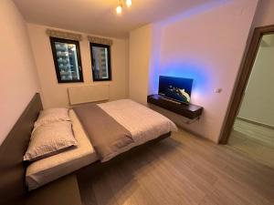 克盧日納波卡的住宿－BTA Apartment Park Lake，一间卧室配有一张床和一台电视。