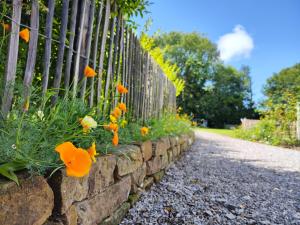 einen Zaun mit orangefarbenen Blumen an einer Steinmauer in der Unterkunft La Tiote Maison in Fiennes