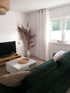 salon z zieloną kanapą i telewizorem w obiekcie Przestronne blisko jezior w mieście Osowiec Śląski