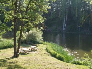 twee picknicktafels naast een rivier met bomen bij Upmaļi in Tērvete