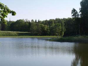 uma grande massa de água com árvores ao fundo em Upmaļi em Tērvete