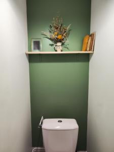 ein Bad mit einem WC und einem Regal darüber in der Unterkunft La Tiote Maison in Fiennes