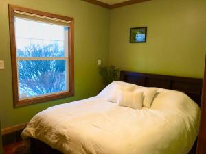 uma cama num quarto verde com uma janela em Paradise Retreat em Chazy