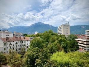 a city with buildings and a mountain in the background at T1 rénové, idéalement situé in Grenoble