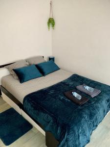 - une chambre avec un lit doté d'oreillers bleus dans l'établissement Agréable appartement 2 pieces a forbach avec Garage fermé - check in autonome, à Forbach
