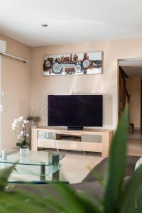 sala de estar con TV de pantalla plana grande en Au jardin des gallinettes location villa piscine privée Carcassonne, en Alairac