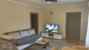 a living room with a couch and a flat screen tv at Prestige in Podgorica