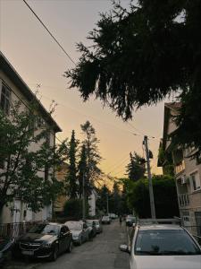 Galeriebild der Unterkunft Sanska 25 in Dušanovac (historical)