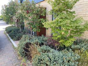 a garden in front of a building with trees and bushes at Contemporary & Cosy Trumpington House, 5 mins to Bio Medical Campus, Addenbrooke's & Papworth hospitals in Cambridge