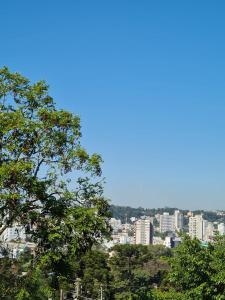 a view of a city from behind some trees at Apartamento com mobília nova 101! in Francisco Beltrão