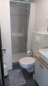 a white bathroom with a toilet and a shower at Apartmani HERMES Jadrija in Šibenik