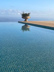 a large pool of water with a plant in it at Villa La Falaise in Oualidia