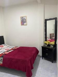 een slaapkamer met een bed en een spiegel aan de muur bij Alojamiento Central Ibagué - Parqueadero Moto in Ibagué