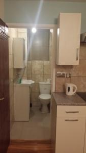 ein kleines Bad mit WC und Waschbecken in der Unterkunft Stunning apartment private garden in London