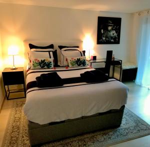 a bedroom with a large bed with two lamps at Superbe studio privé in Thionville