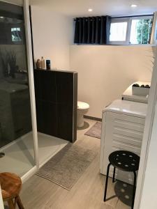 a bathroom with a shower and a toilet at Superbe studio privé in Thionville