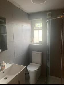 a bathroom with a toilet and a sink and a shower at Netherton Studio Apartment 1 in Llandrillo-yn-Rhôs +21 photos