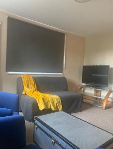 a living room with a couch and a flat screen tv at Netherton Studio Apartment 1 in Llandrillo-yn-Rhôs