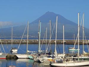 a group of boats docked in a harbor with a mountain at SEASTAR nº38 in Horta +5 photos