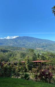 a house in the middle of a field with mountains in the background at Hotel Green Mountain in Turrialba