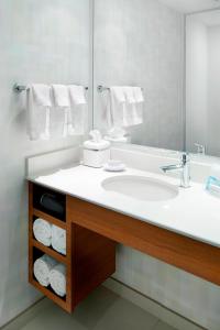 baño con lavabo y espejo grande en SpringHill Suites by Marriott Pittsburgh Bakery Square en Pittsburgh