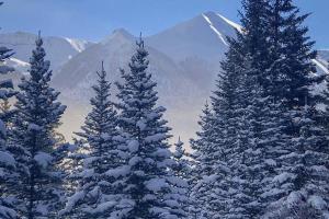 a group of snow covered trees with mountains in the background at Northstar 18 in Telluride