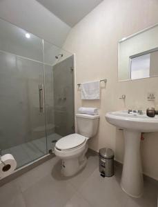 een badkamer met een toilet, een wastafel en een douche bij Hermosa casa, sur de Guadalajara in Guadalajara