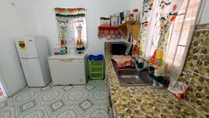 eine kleine Küche mit Spüle und Kühlschrank in der Unterkunft Beautiful 1-Bedroom in St Thomas Jamaica in Belfast