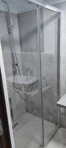 a shower with a glass door and a sink at Conacul Caterinei in Polovragi