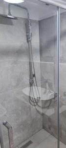 a shower with a glass door next to a sink at Conacul Caterinei in Polovragi