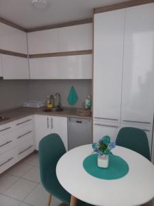 Η κουζίνα ή μικρή κουζίνα στο Filip Apartment
