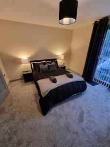 een slaapkamer met een groot bed en een groot raam bij Donard View Apartment in Newcastle